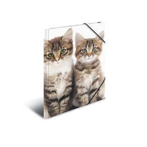 A4 Elasticated Folder Cats