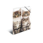 A3 Elasticated Folder Cats