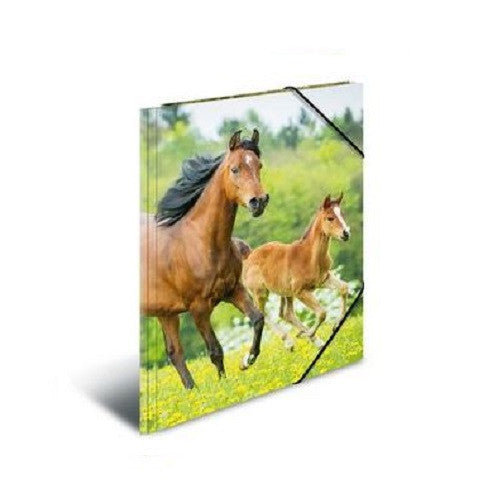 A4 Elasticated Folder Horses