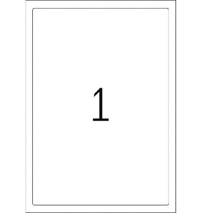 A4 Crystal-Clear Label 210 x 297mm (8020)